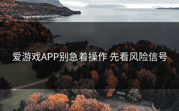 爱游戏APP别急着操作 先看风险信号